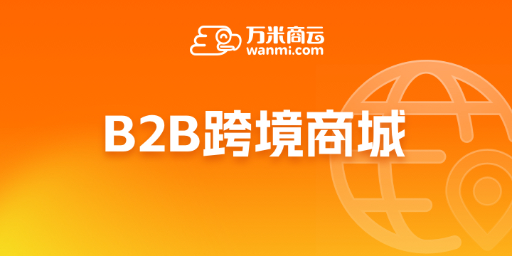 B2B跨境商城(海外独立站)